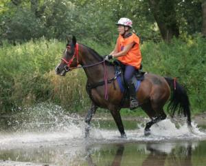 Lesley-Ann participating in the 120 km event at Euston Park, Suffolk in August 2009